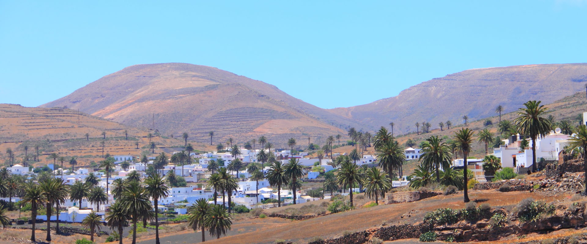 Haria, das Tal der tausend Palmen, Lanzarote